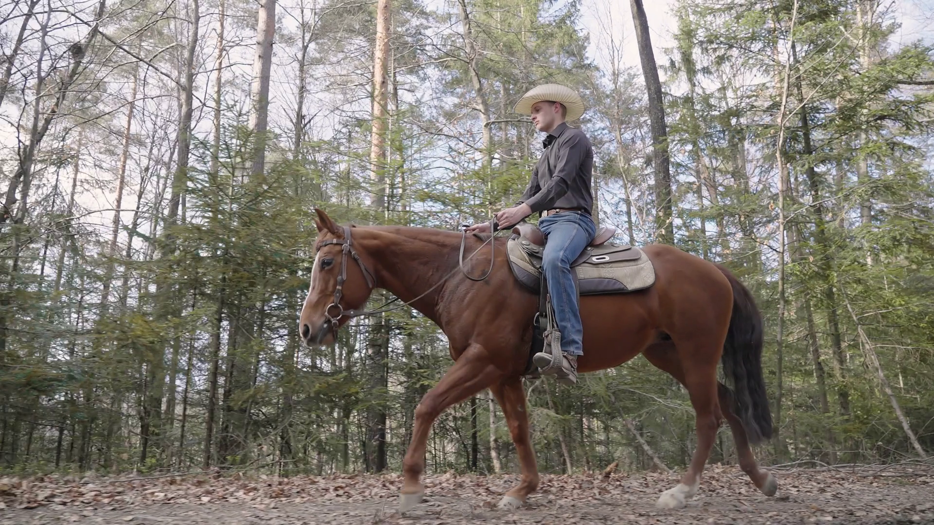 Cowboy Enjoy Riding Horse In Forest Low Stock Footage SBV-352057748 ...