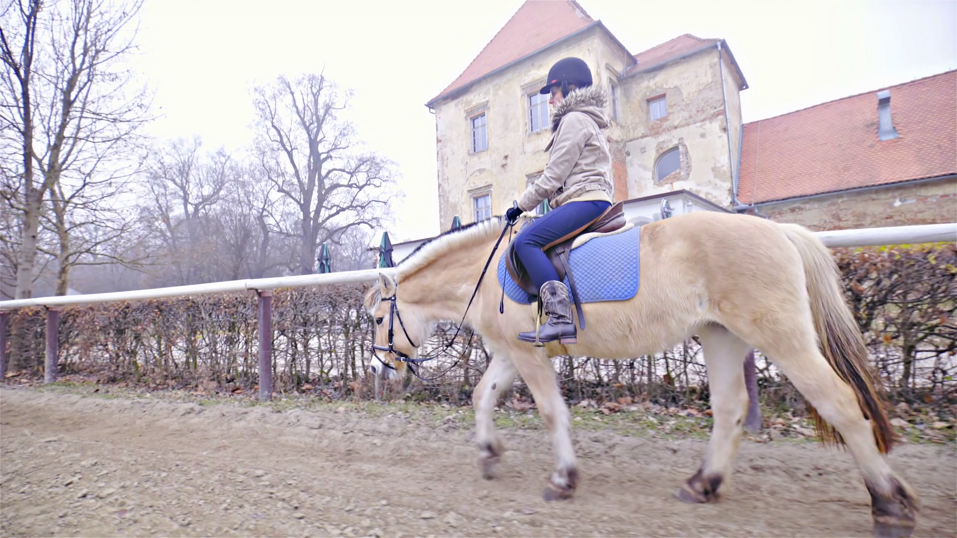 Equestrian Riding Horse On Horseback Inside Stock Footage SBV-352946032 ...