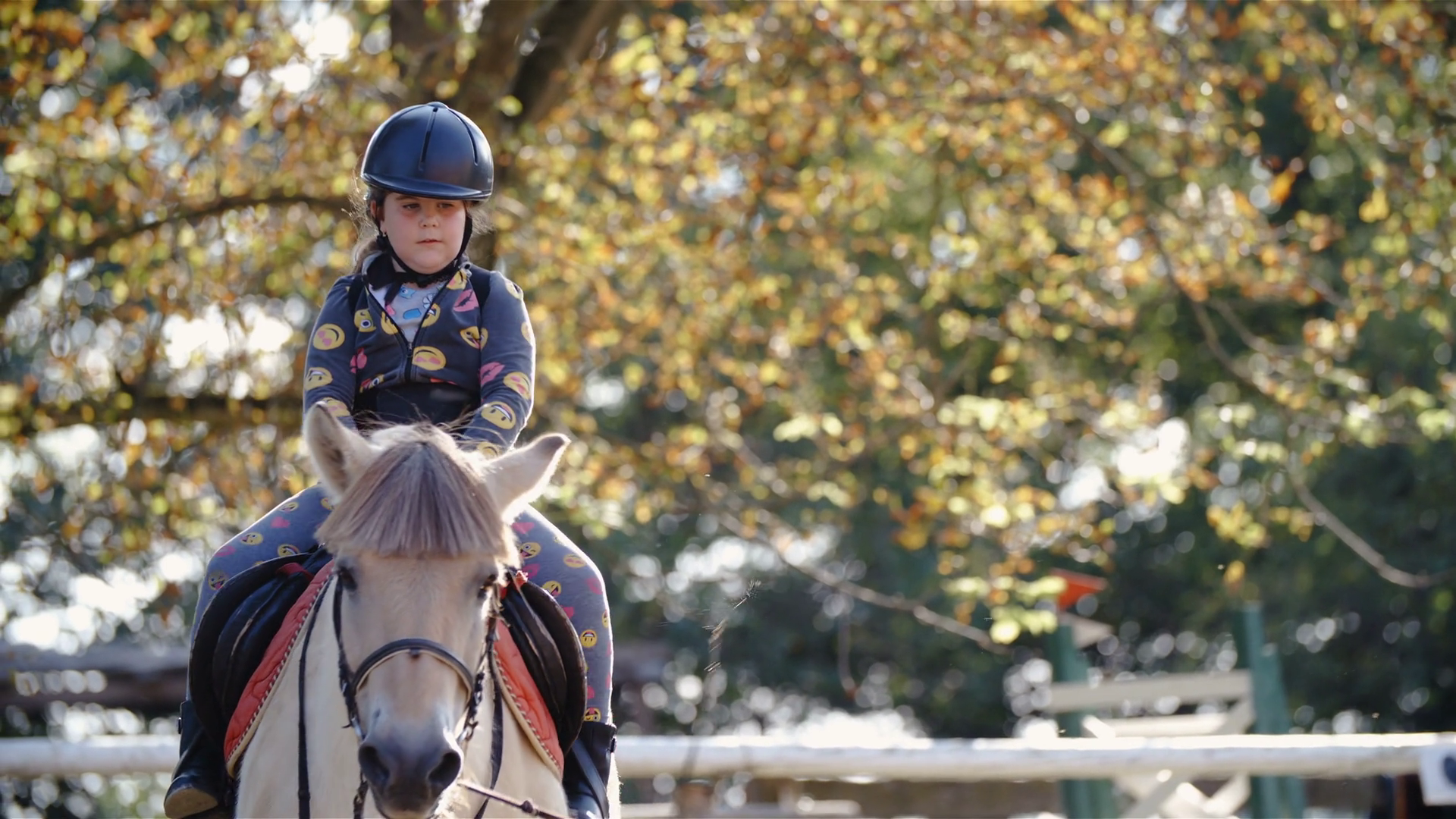 Young Girl Practice Horse Riding In Slow Stock Footage SBV-352813943 ...