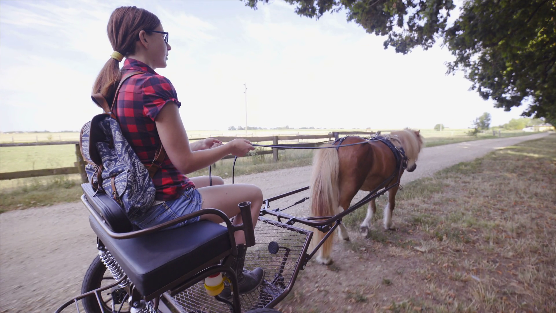 Pony Cart Ride In Flat Landscape 4k Side Stock Footage SBV-352814009 ...