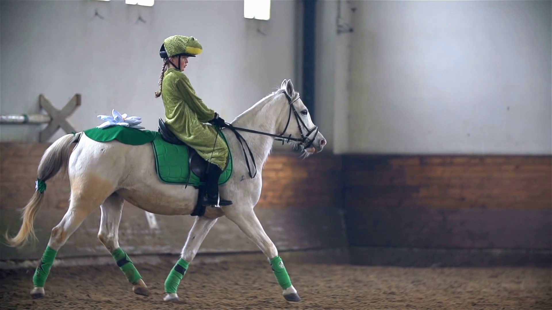 Slow Motion Frog Costume Riding White Horse Stock Footage SBV316511579 Storyblocks