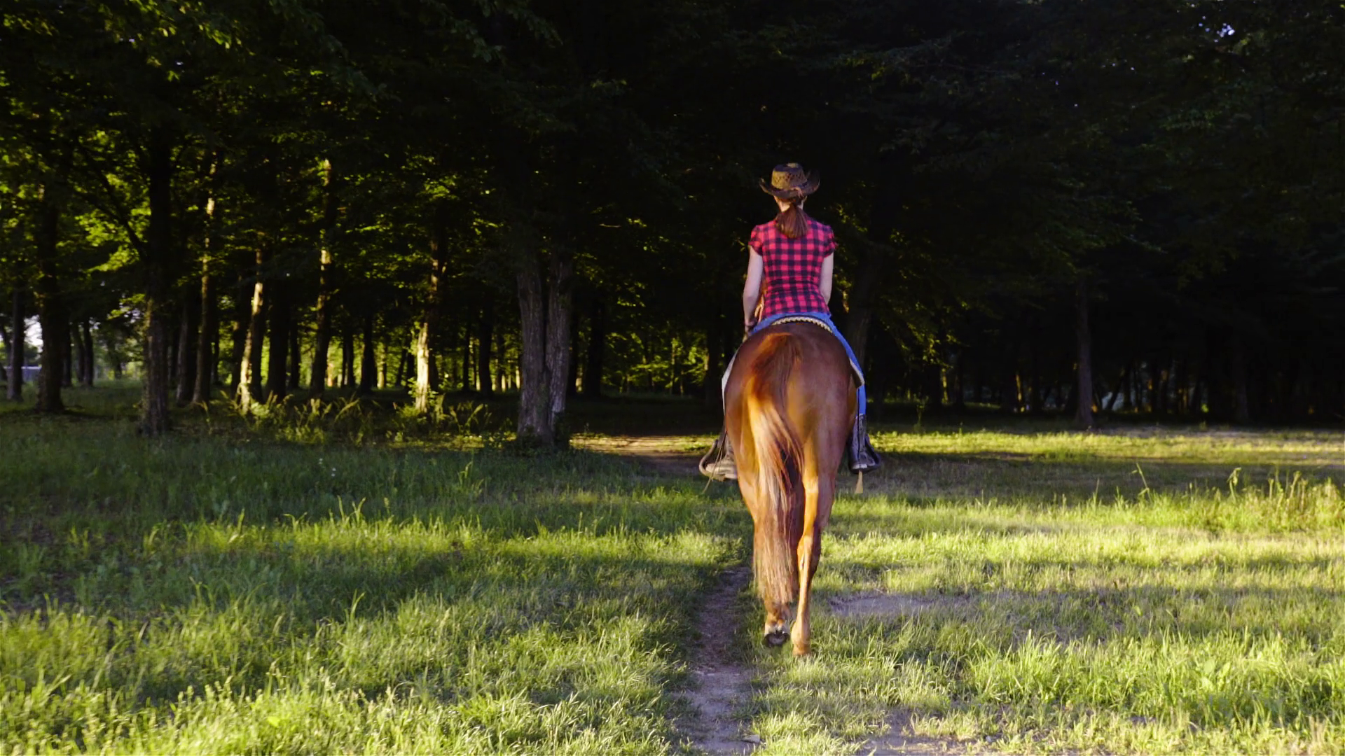 Western Horse Rider Walk In To Dark Forest Stock Footage SBV-352313734 ...