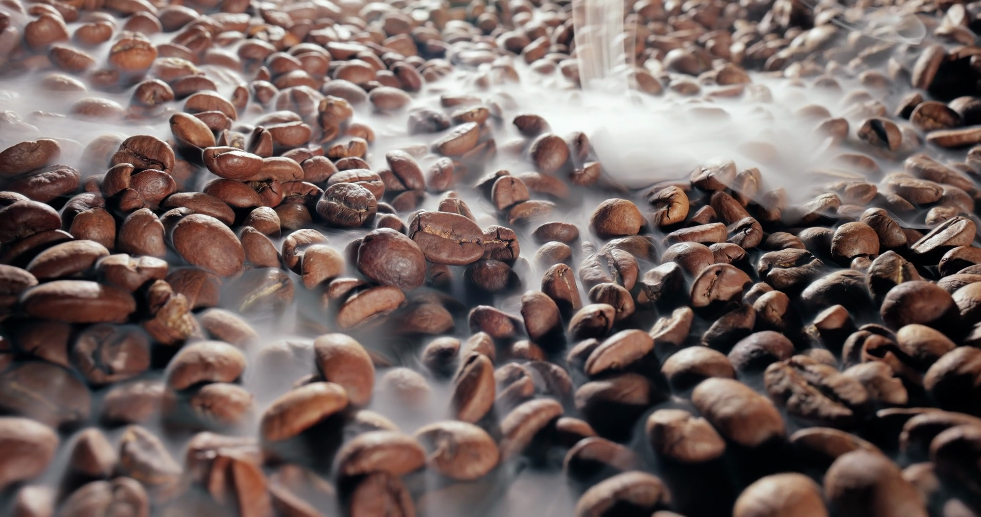 Close Up Of Seeds Of Coffee Fragrant Coffee Stock Footage SBV-351678786 ...