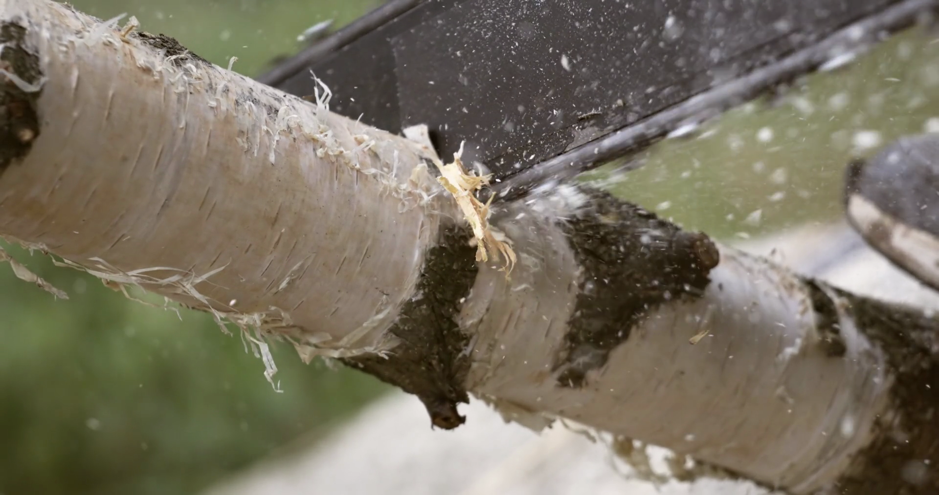 Woodcutter Saws Tree With Electric Chain Saw Stock Footage SBV ...