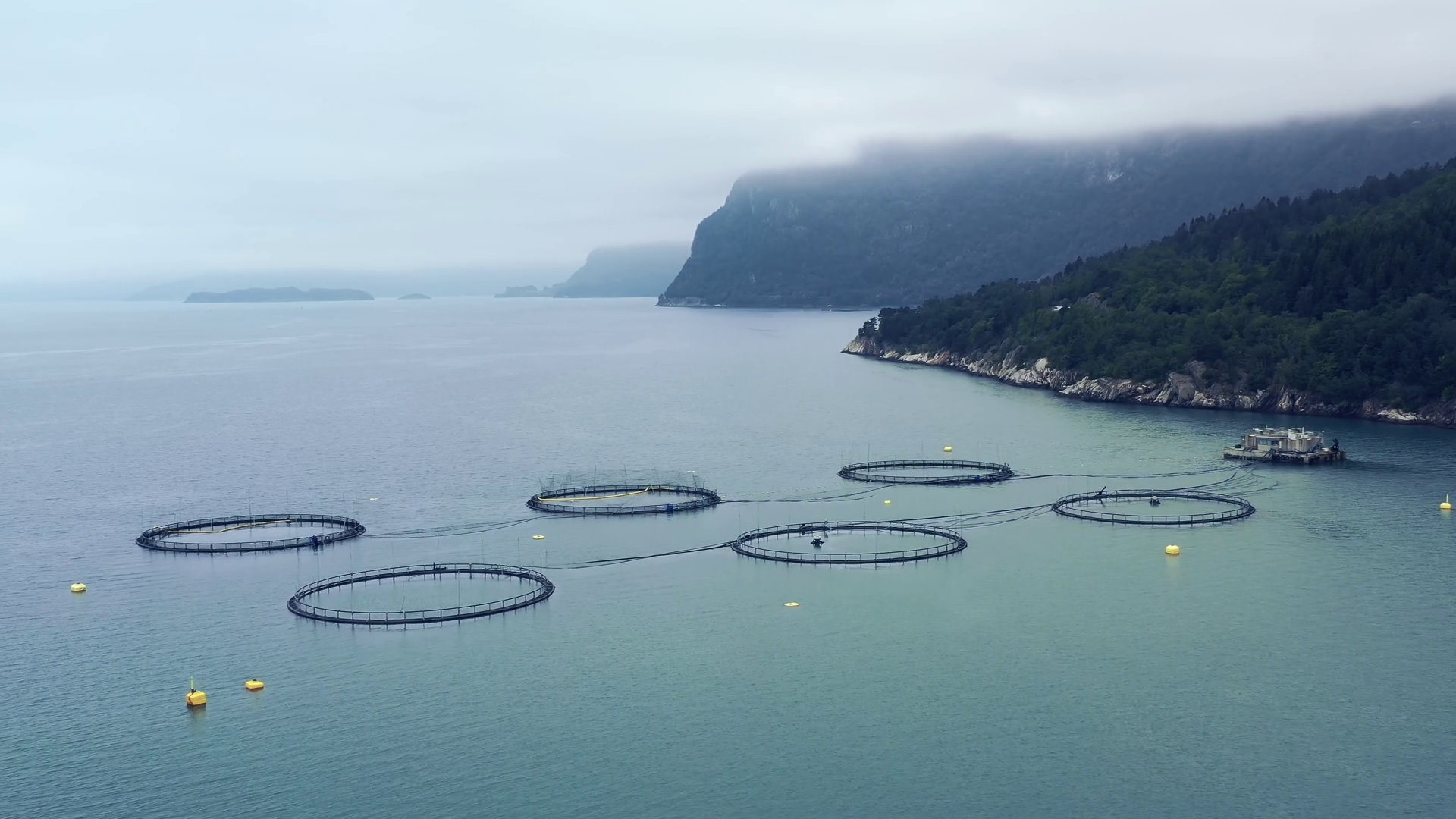 Aerial Footage Farm Salmon Fishing In Norway Stock Footage SBV