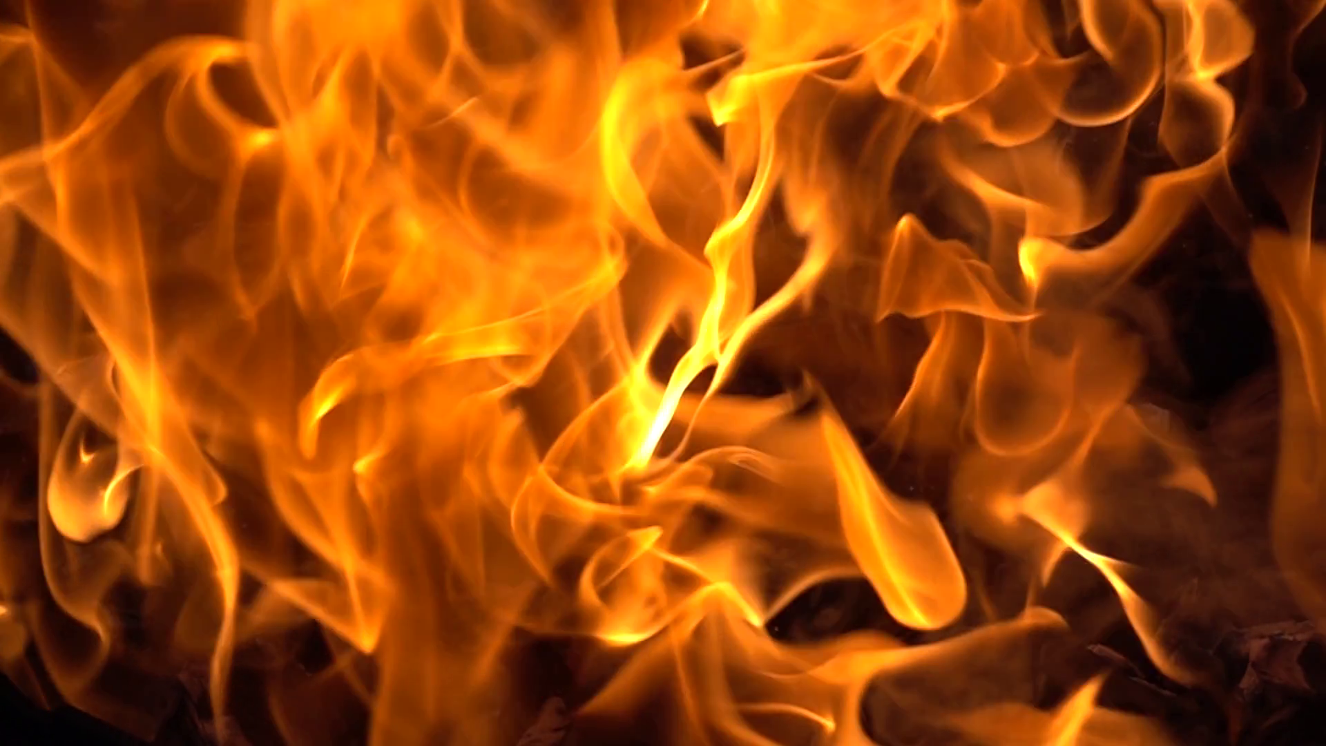 Flames Of Fire On Black Background In Slow Motion Stock Video Footage 