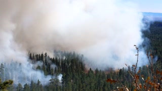 Time lapse of a wildfire burning through the pine forest