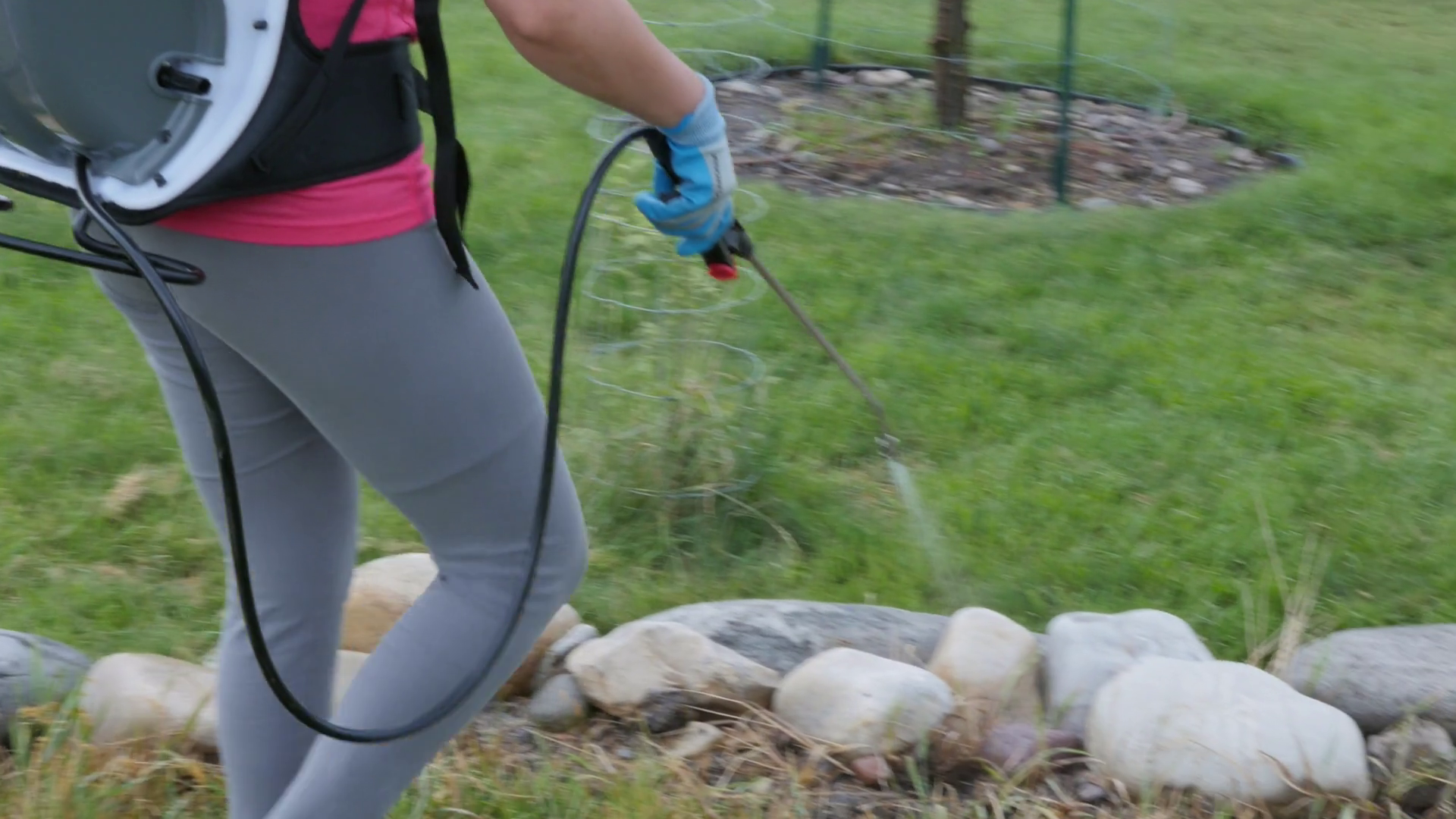 Woman Sprays Weeds With Weed Killer In Yard Stock Footage SBV307828484