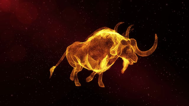 Bull | Effects and Overlays motion backgrounds - Storyblocks