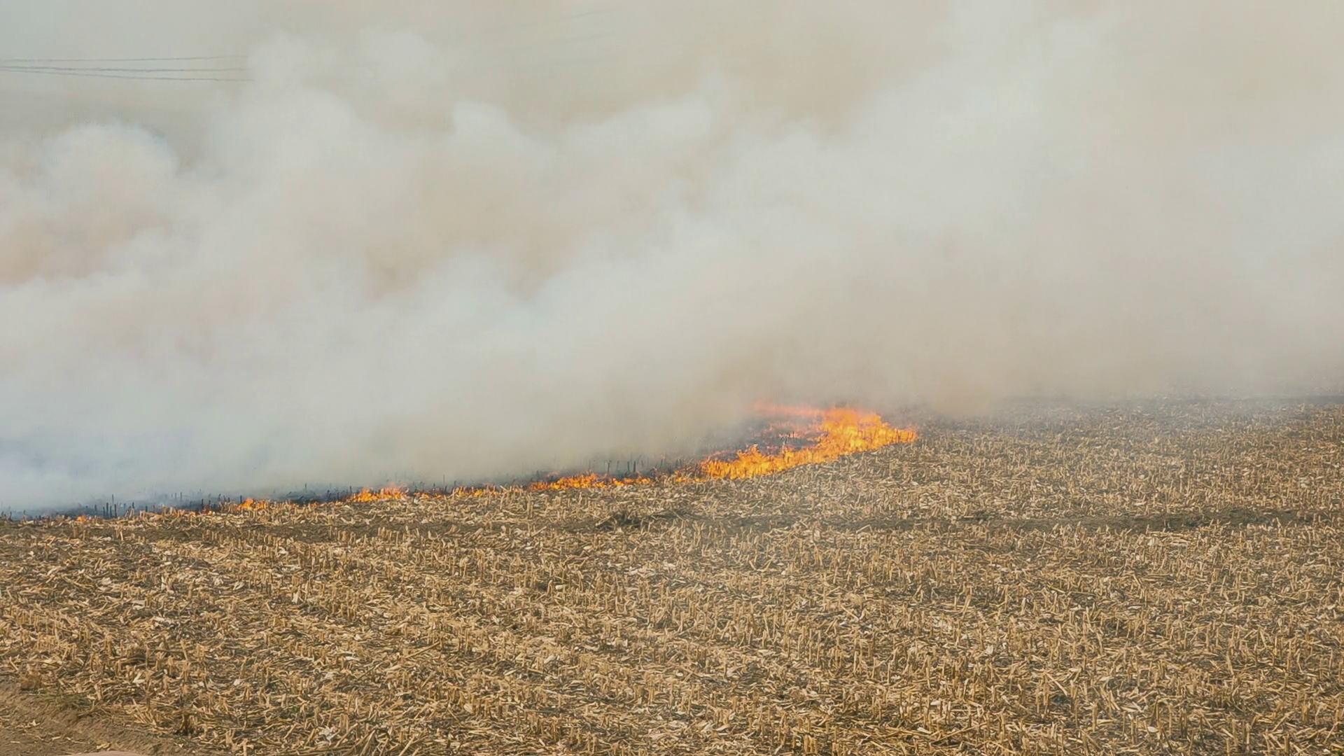 Agricultural field on fire Stock Video Footage Storyblocks