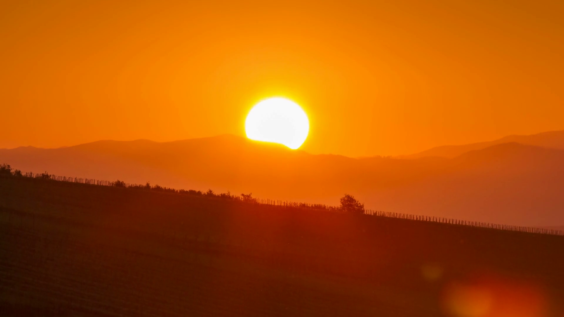Sunrise Over Vineyard Hills Stock Footage SBV329710329 Storyblocks