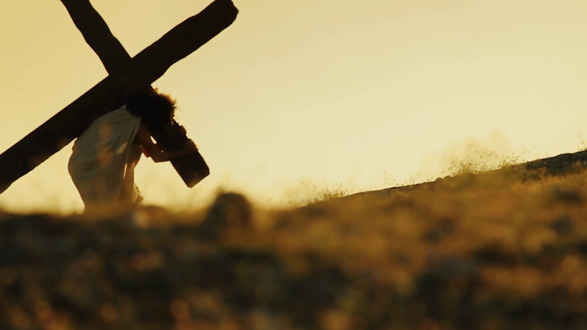 How Far Did Jesus Carry The Cross Asking List