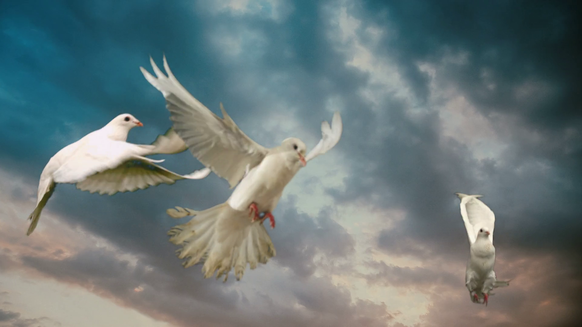 Dark epic clouds with white doves Stock Video Footage Storyblocks