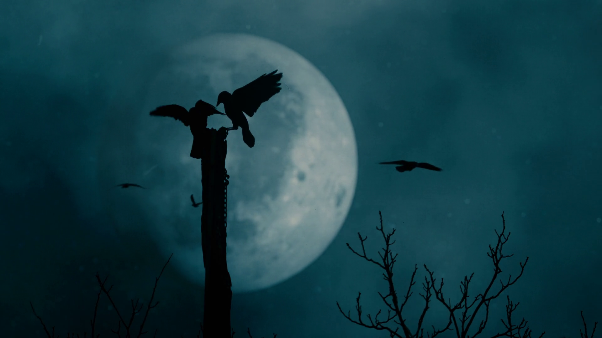 Ravens and big full moon on background Slo Mo Stock Video Footage