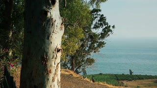 View of the Sea of Galilee (Kineret lake), Israel, cca. 2015.