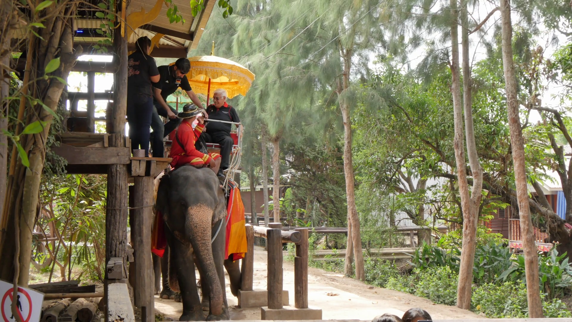 Elephant Rides Bangkok Thailand Southeast Stock Footage SBV315373333