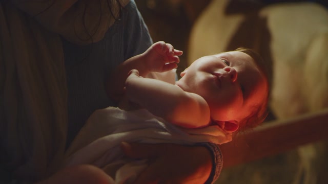 Birth Stock Footage: Royalty-Free Video Clips - Storyblocks
