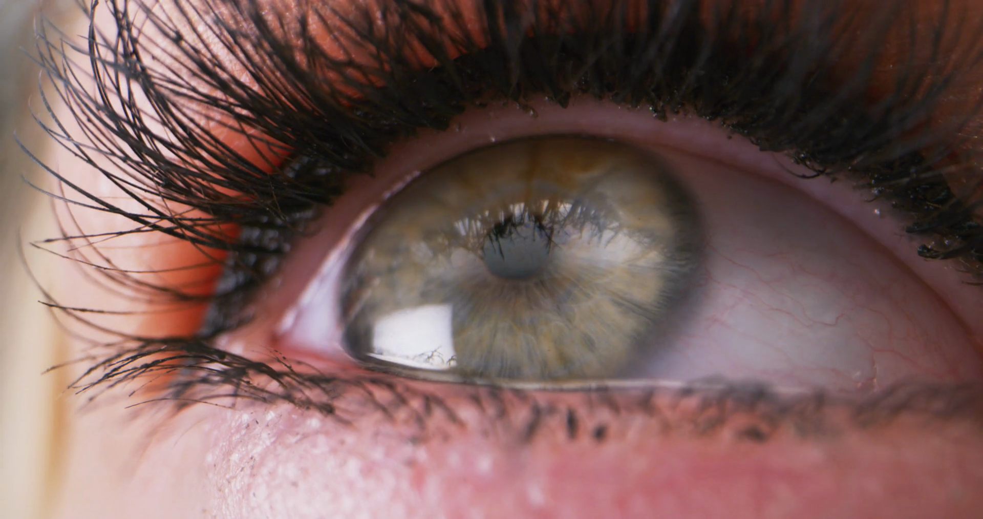 Extreme Close Up Shot Of An Eye