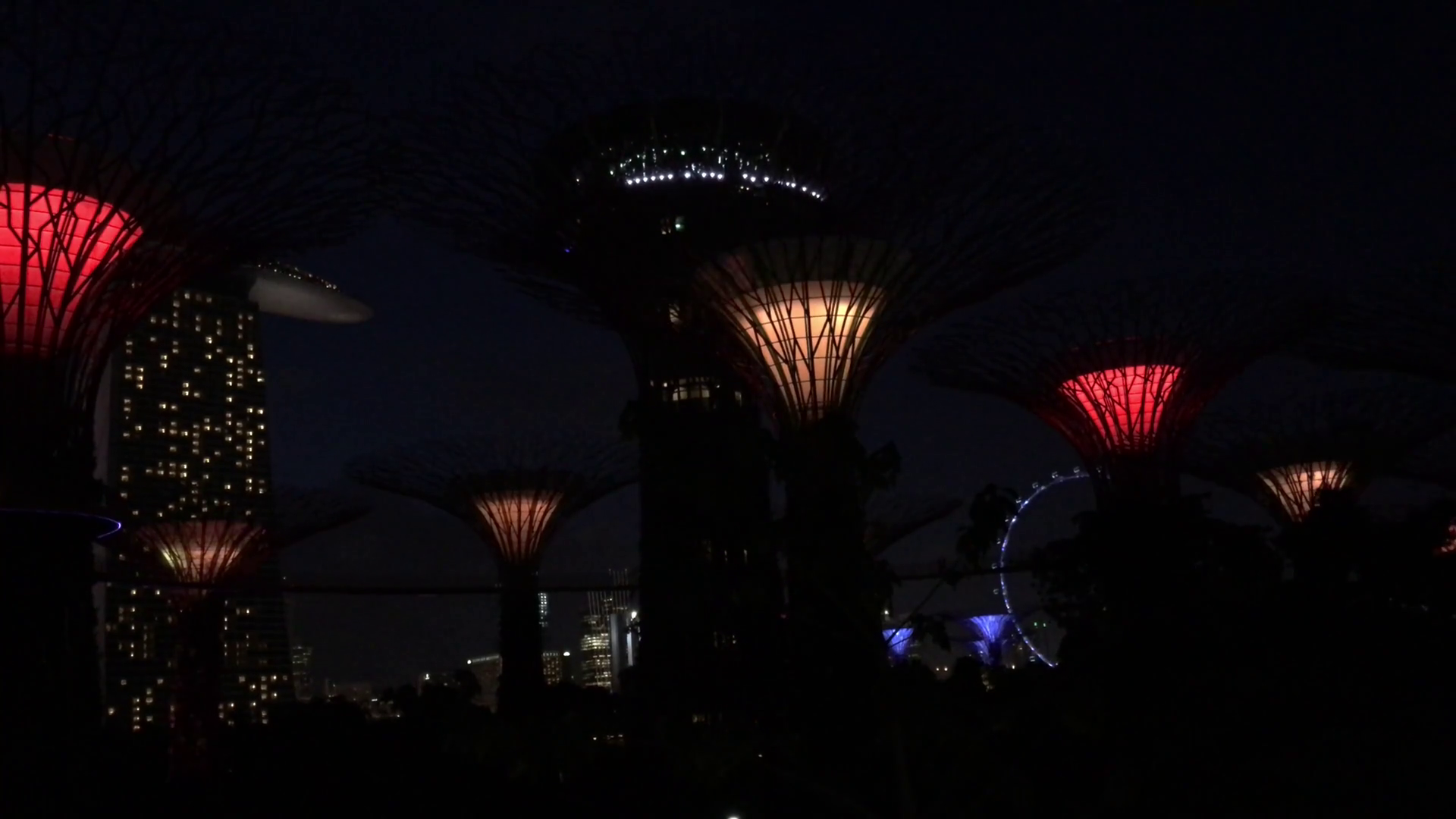 Supertree Grove Light Show At Gardens By Bay Stock Footage SBV