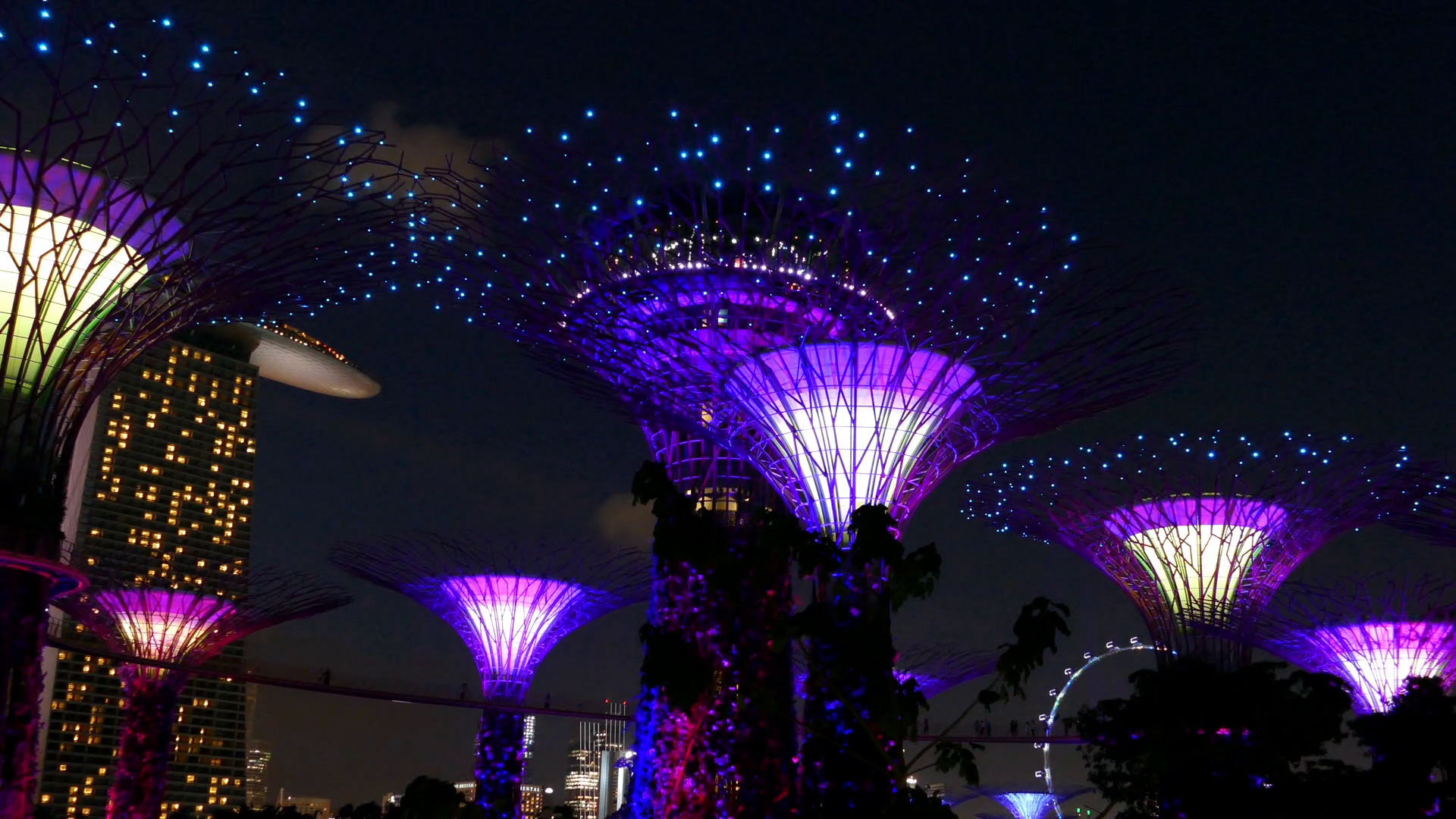 Supertree Grove Light Show At Gardens Bay In Stock Footage SBV