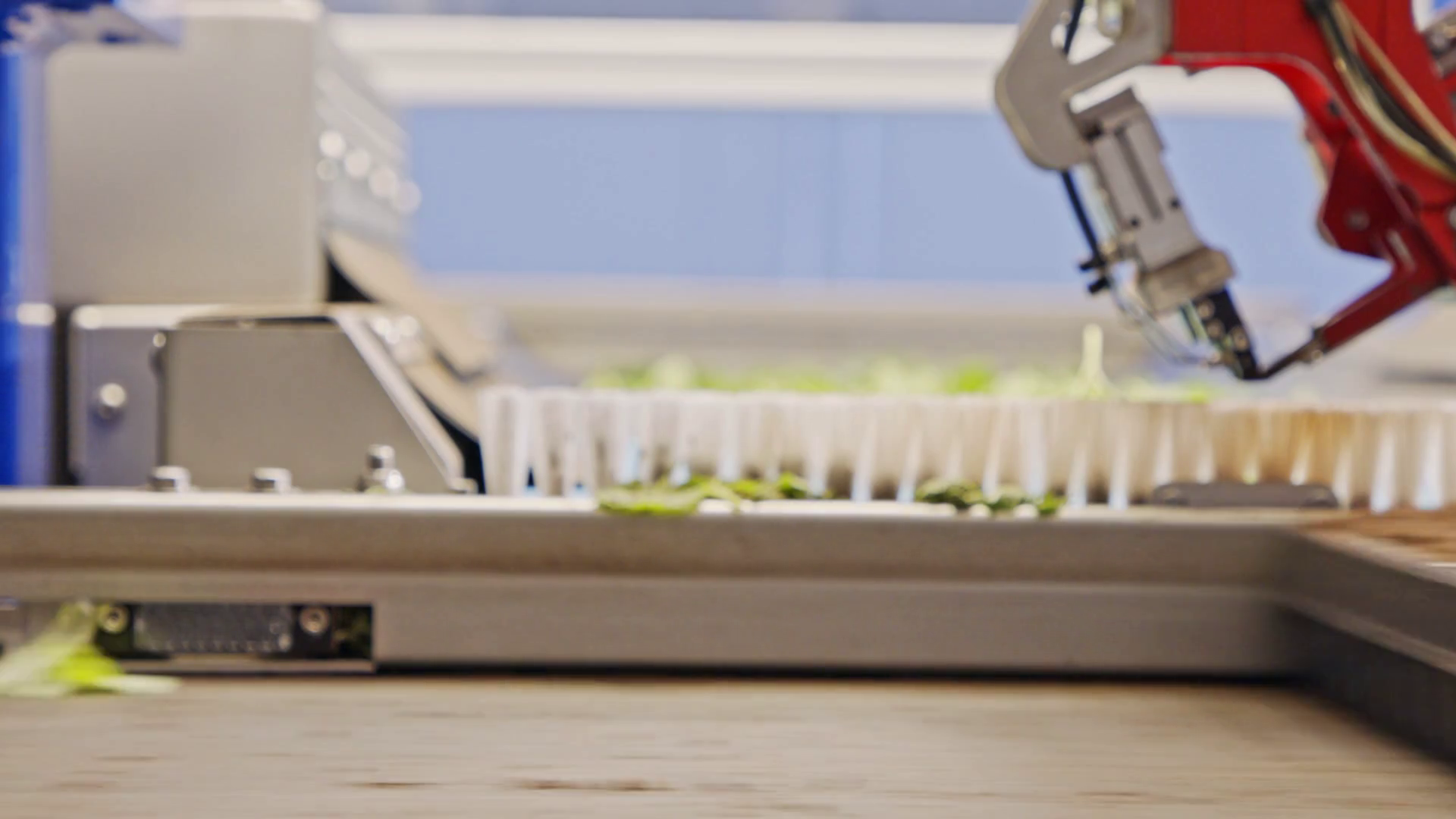 Robocean: Seed-Planting, Climate Change-Fighting Robot – NMSMJK