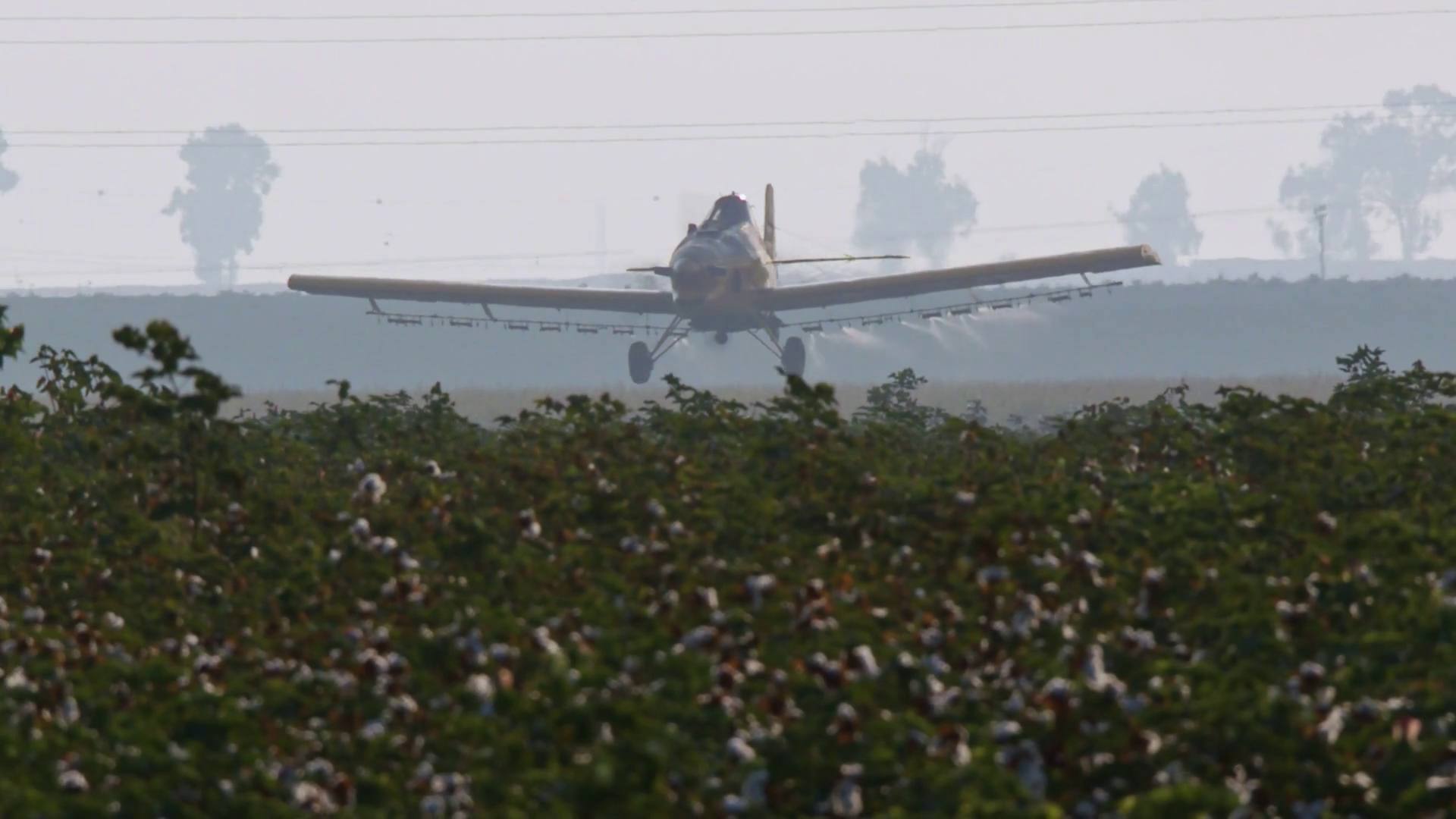 Crop duster spraying chemicals over a cotton field slow motion Stock