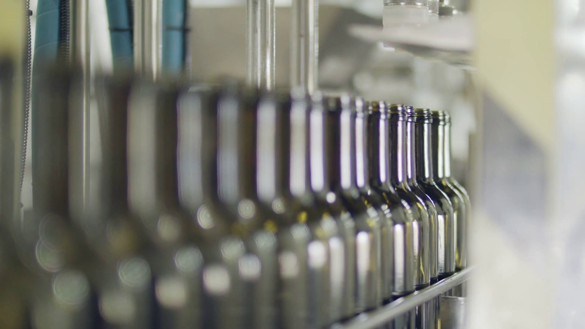 Filling of olive oil bottles in a bottling factory Stock Video Footage