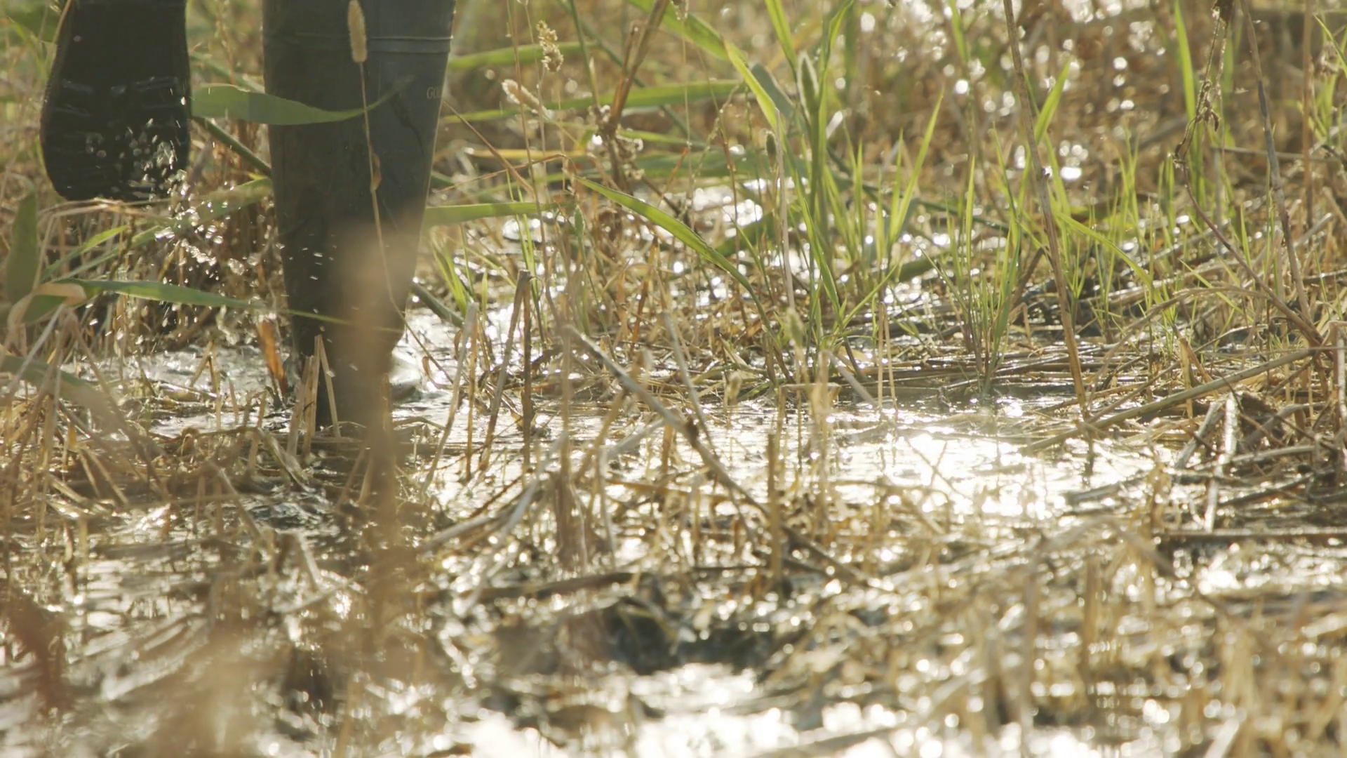 Mud puddle visuals videos