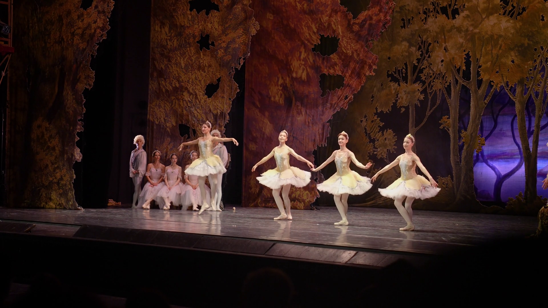 Dancers Perform On Stage During Ballet Show Stock Footage SBV-352678996 ...
