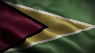 Guyana Wavy Flag In The Wind In Slow Motion Waving Official Flag