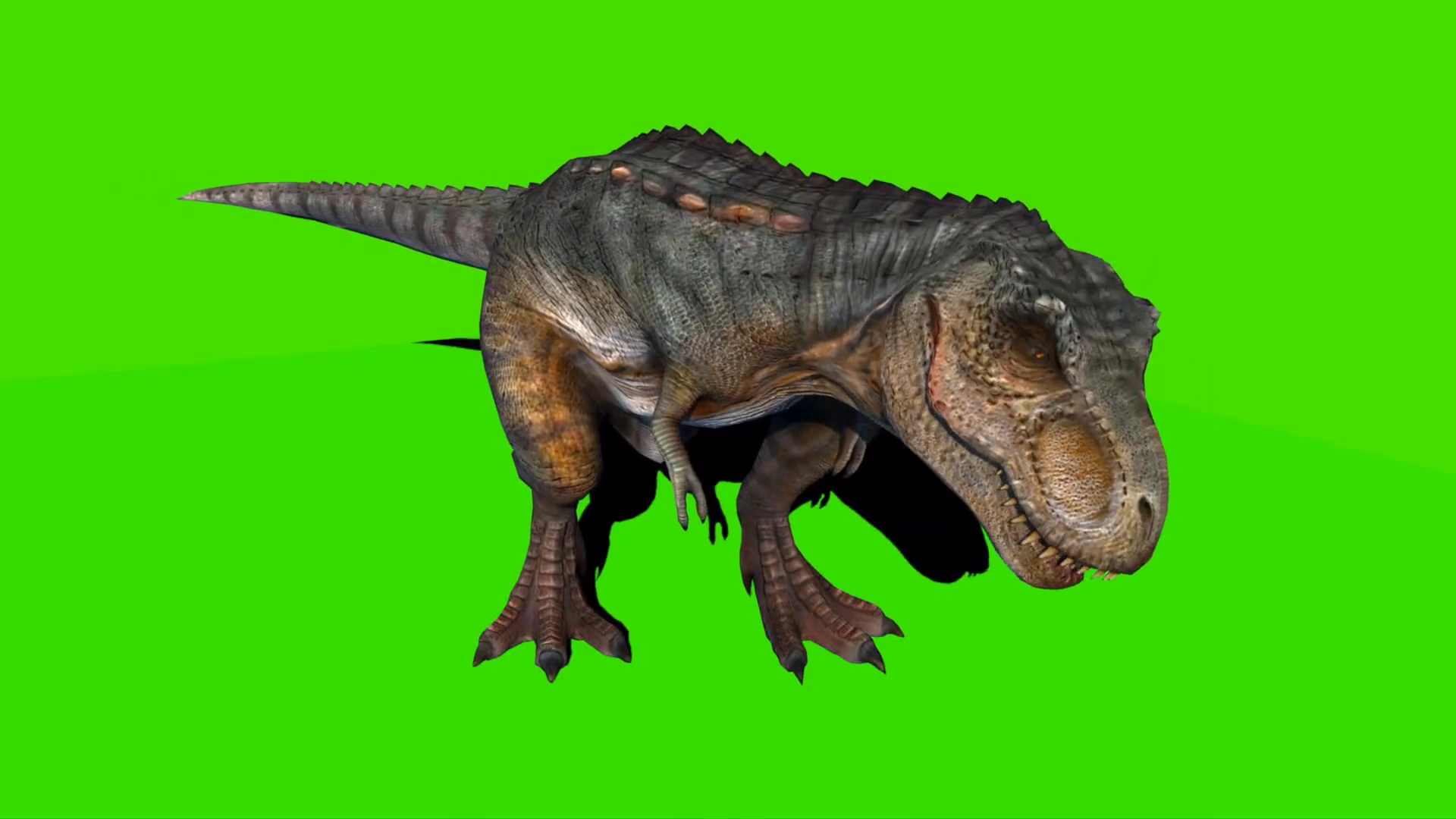 Tyrannosaurus Rex Looking On Green Screen 05 Stock Motion Graphics SBV ...