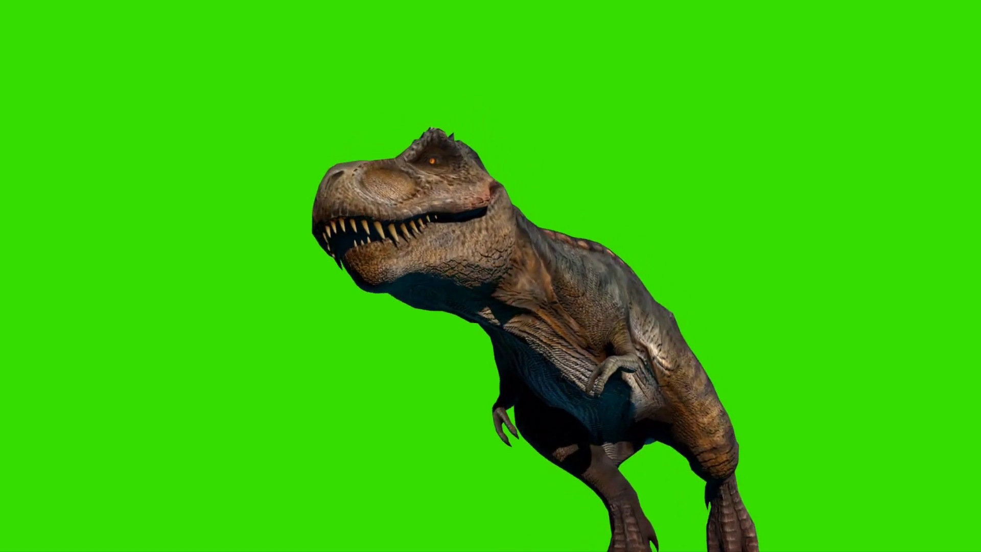 Tyrannosaurus Rex Walking On Green Screen 24 Stock Motion Graphics SBV ...