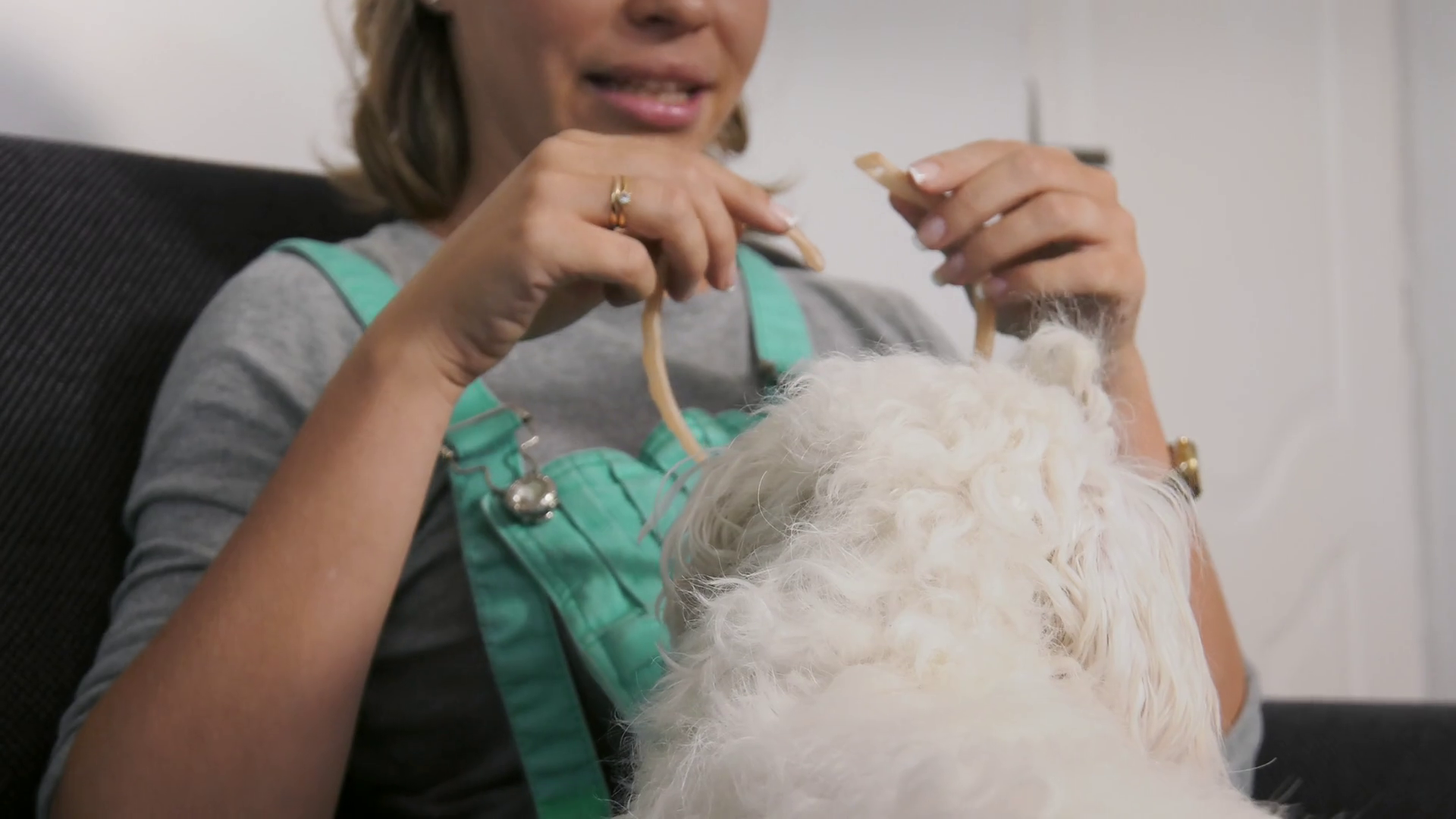 Woman Dog Owner Putting Flea Collar To Pet Stock Footage SBV308313488