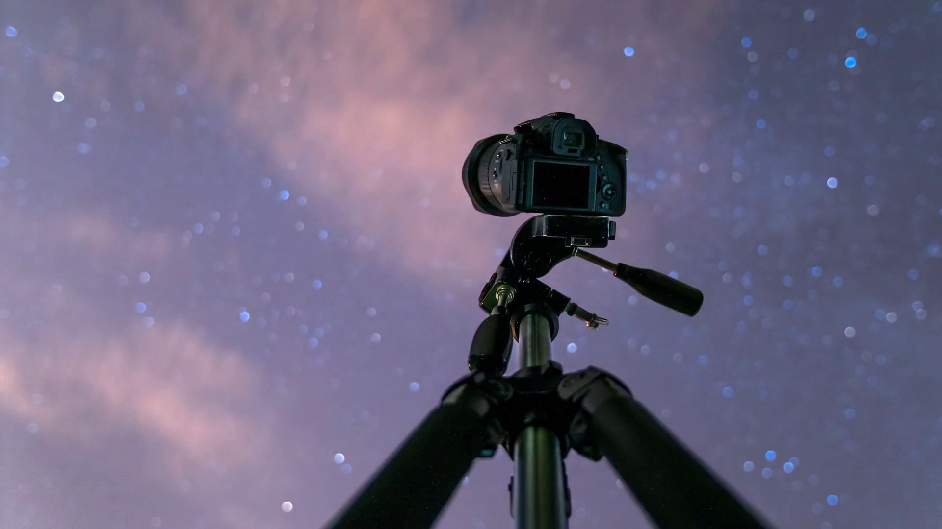 The camera shoot time lapse of the sky with stars above forest Stock