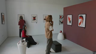 Timelapse shot of group of multi-ethnic people admiring modern abstract paintings in minimalist art gallery