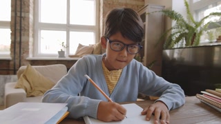 Little Asian boy in glasses waving, speaking, and studying online during coronavirus lockdown
