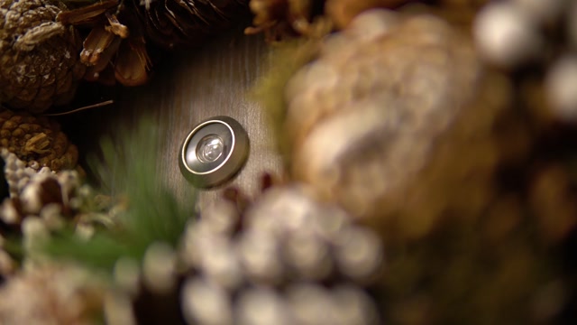 Peephole Stock Footage: Royalty-Free Video Clips - Storyblocks