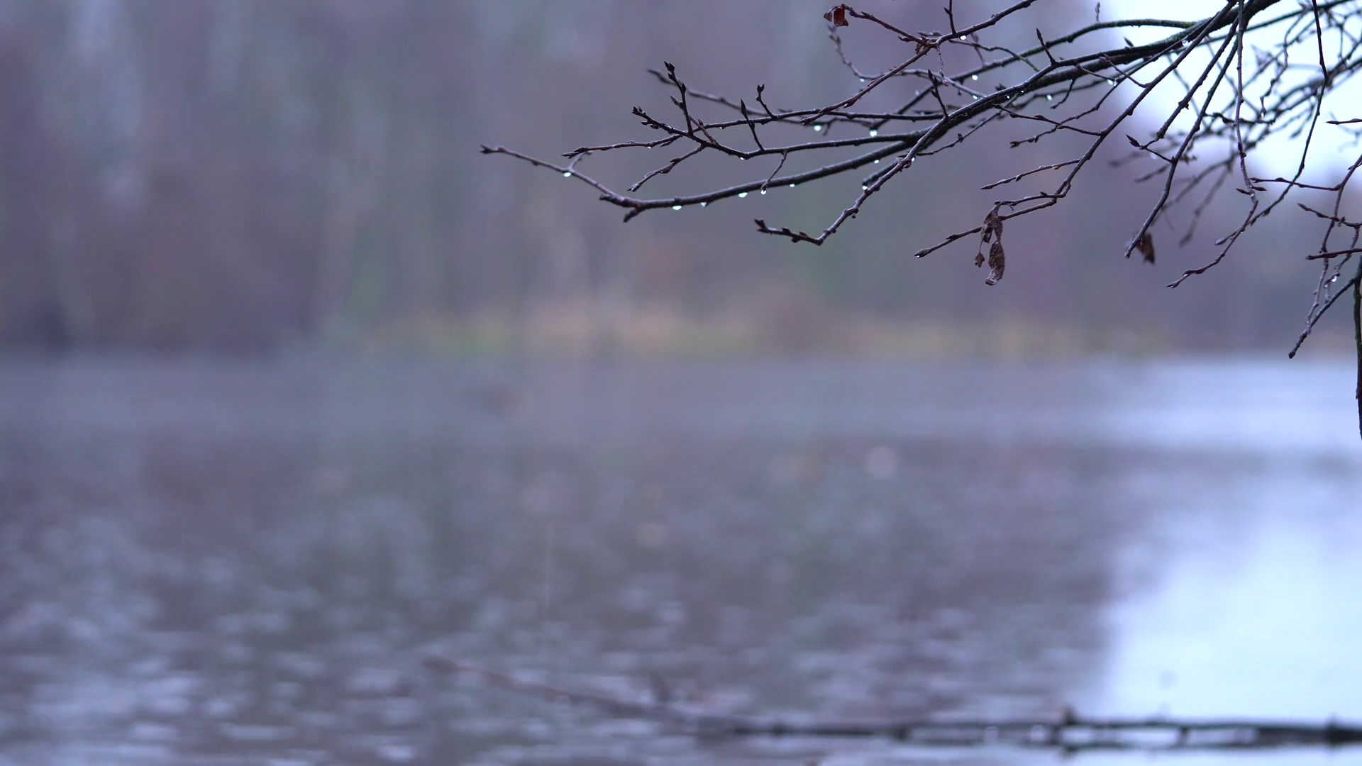 Crashing rain. Crashing rain