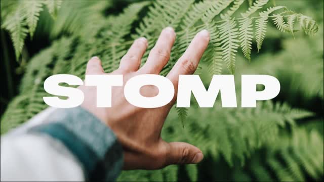 Beat Templates Royalty Free Storyblocks