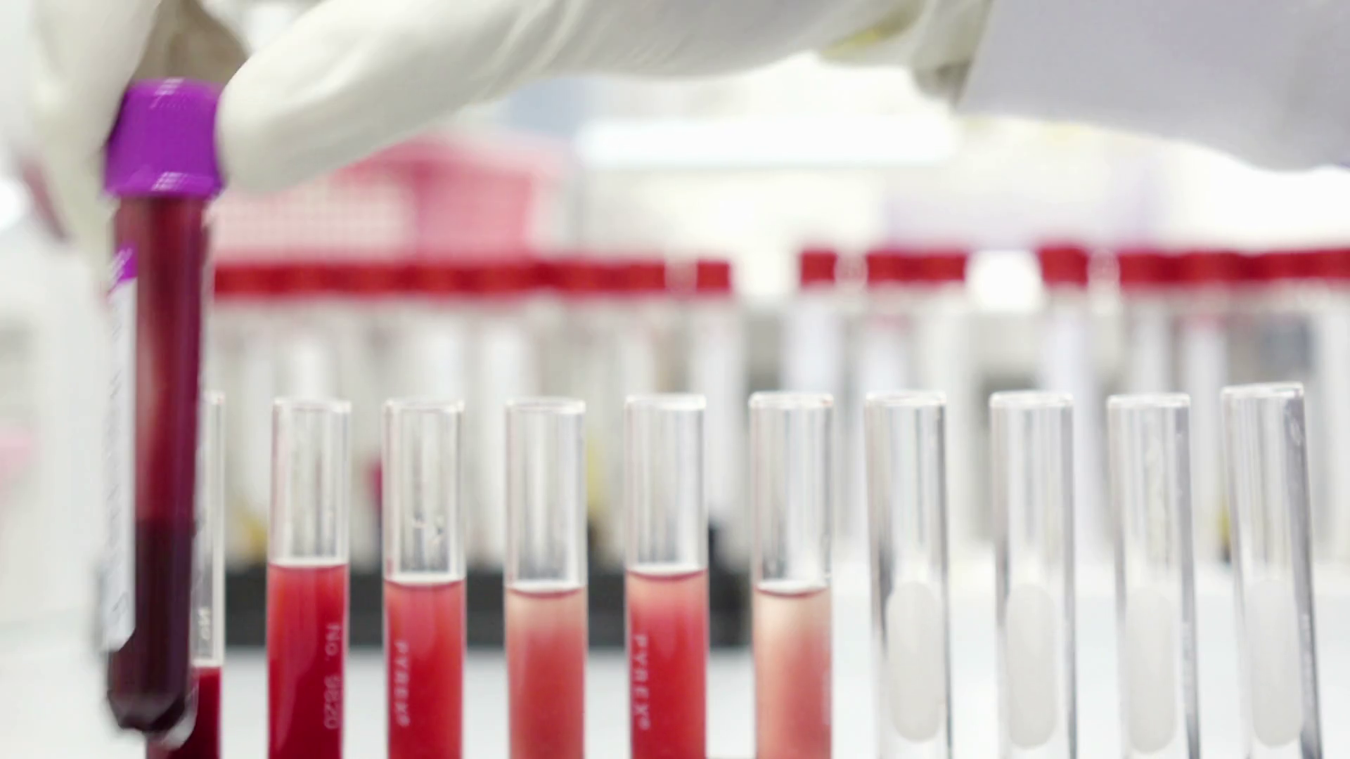 Scientist testing in laboratory for analysis or researching Stock Video