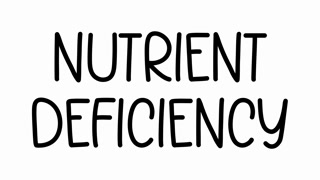 Nutrient Deficiency Hand Drawn Scribble Text Effect