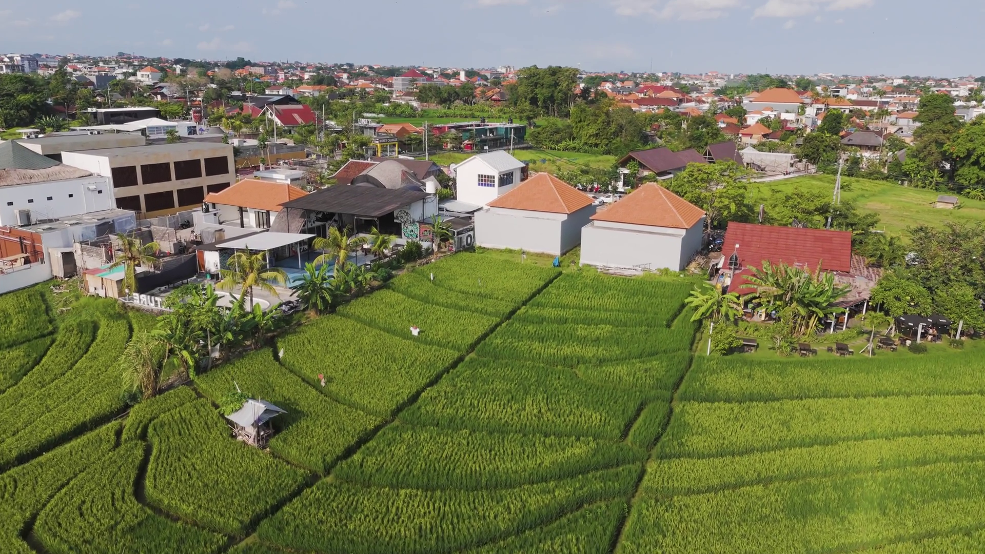 Aerial View Of Vibrant Green Rice Terraces Stock Footage SBV-351915653 ...