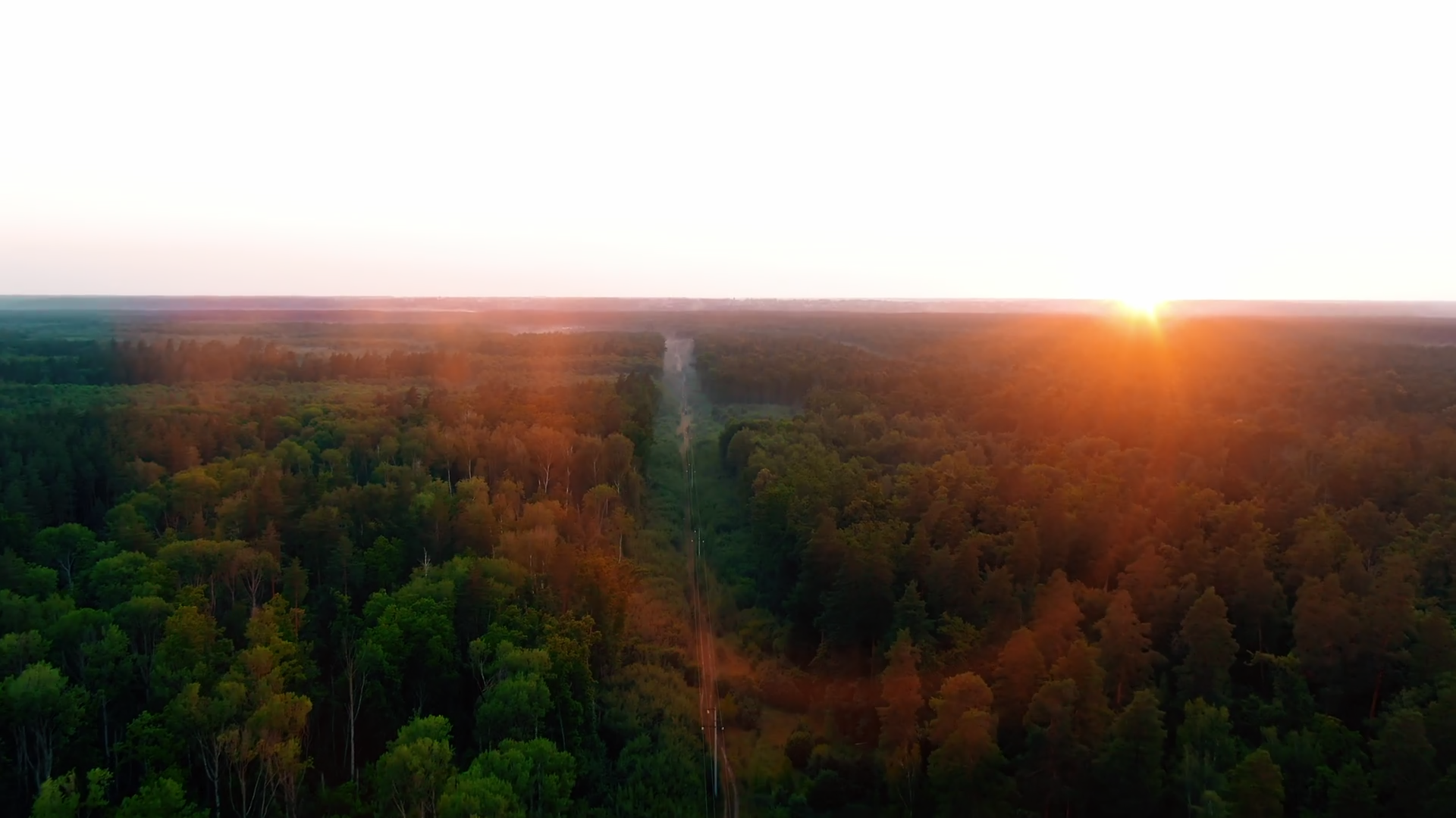 Aerial 4k Flying Over Beautiful Pine Tree Stock Footage SBV-348382713 ...