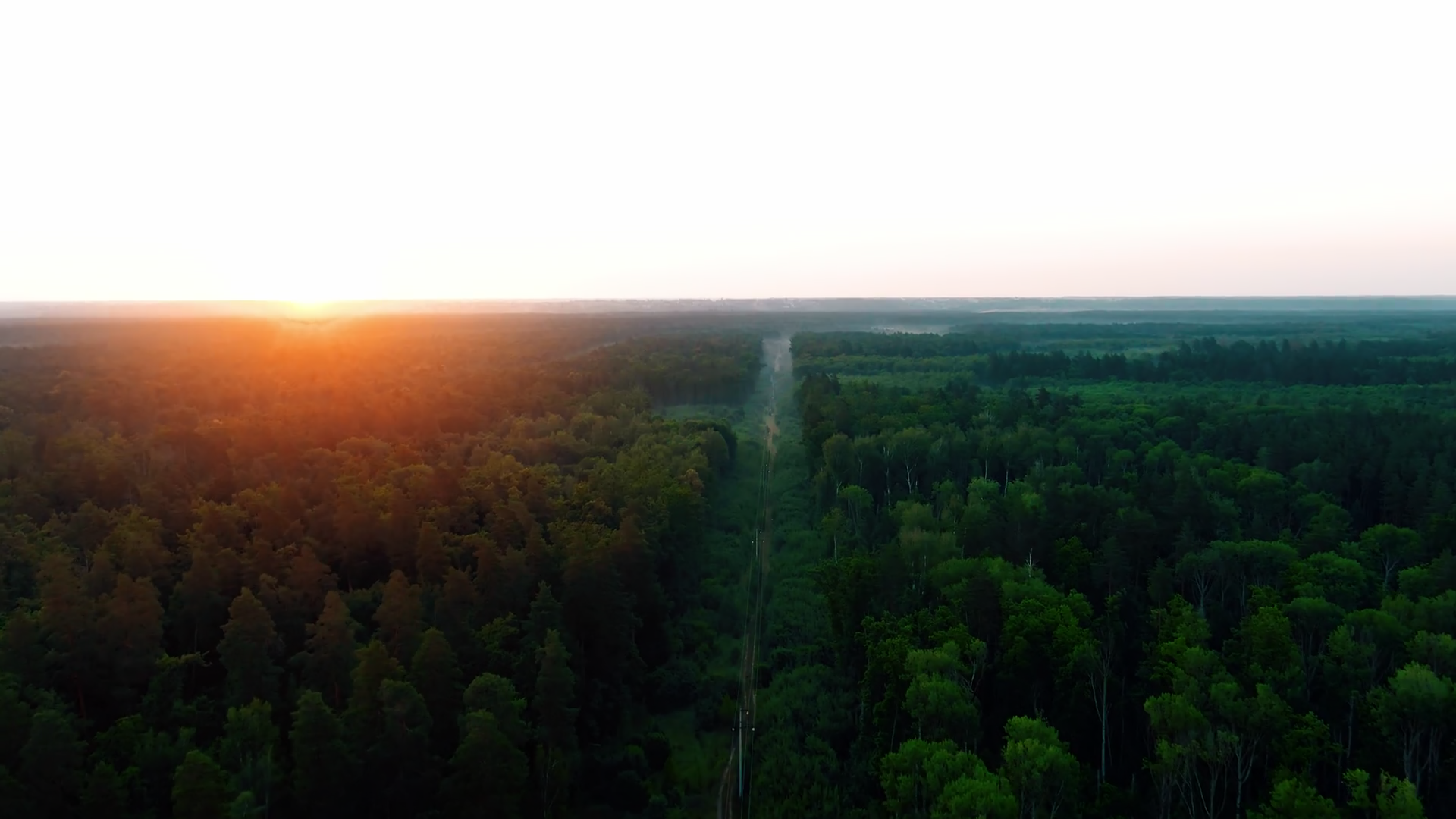 Aerial 4k Flying Over Beautiful Pine Tree Stock Footage SBV-348382654 ...