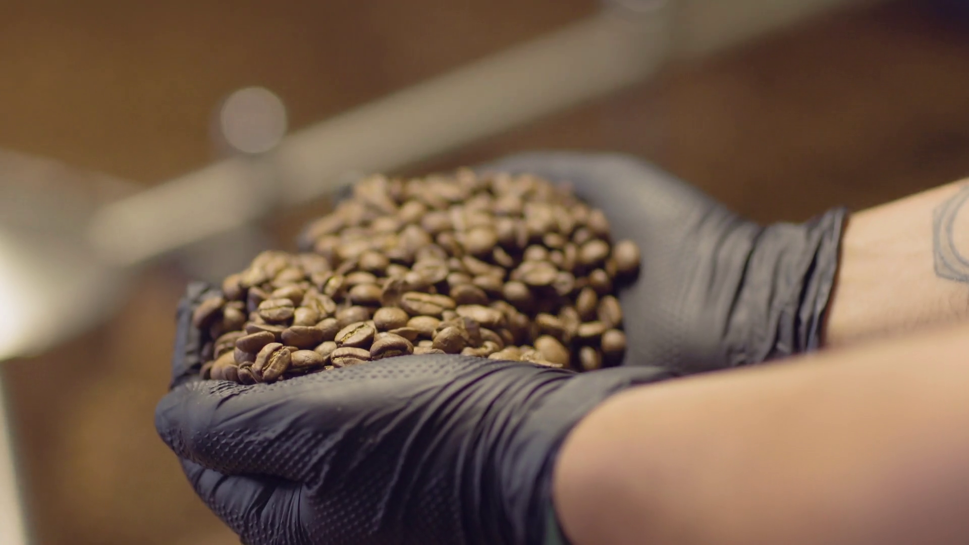 Coffee Bean Hand Grab Stock Footage SBV347232467 Storyblocks