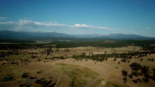 White background with a simple and clean texture, isolated on white background