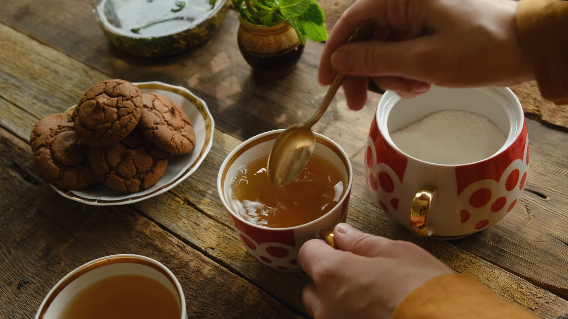 Drinking Tea Woman Adding Sugar To Cup Of Stock Footage SBV-352158166 ...