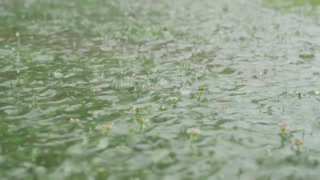 Close-up of raindrops falling into puddle
