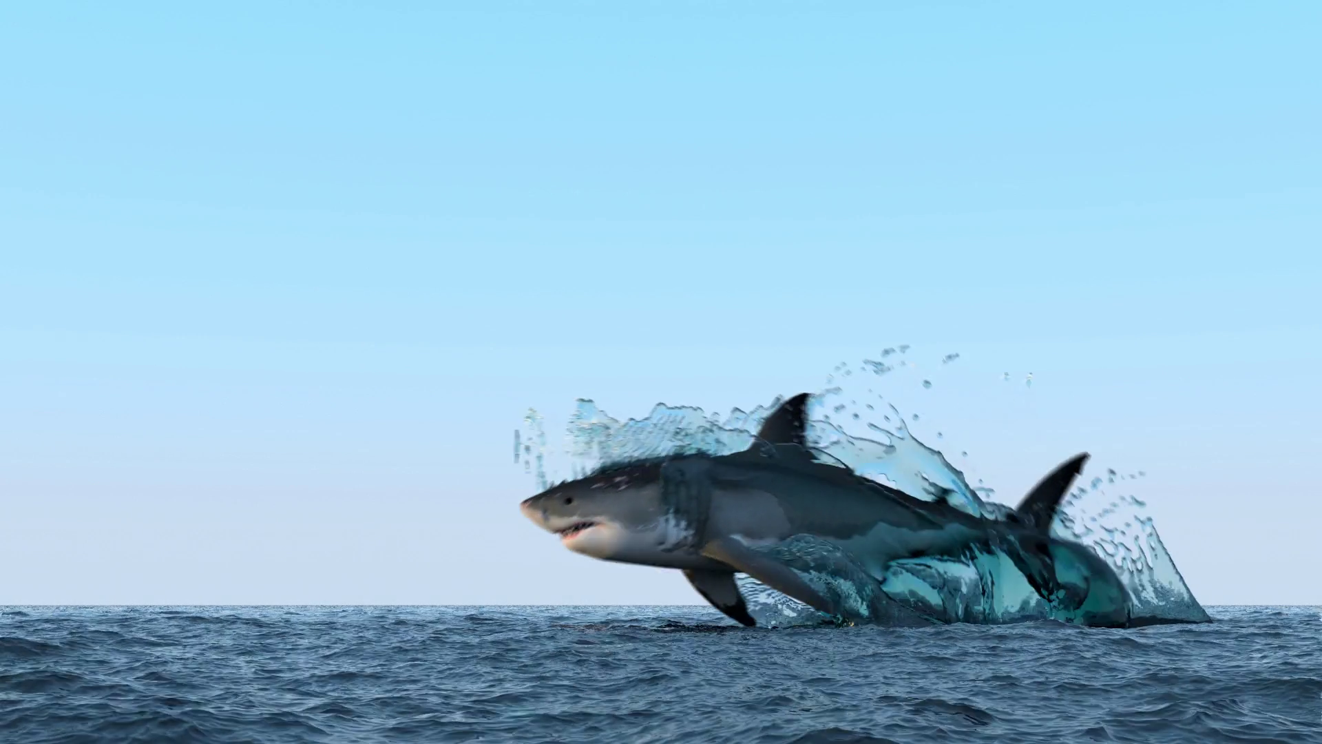 shark jump out of water Motion Background - Storyblocks
