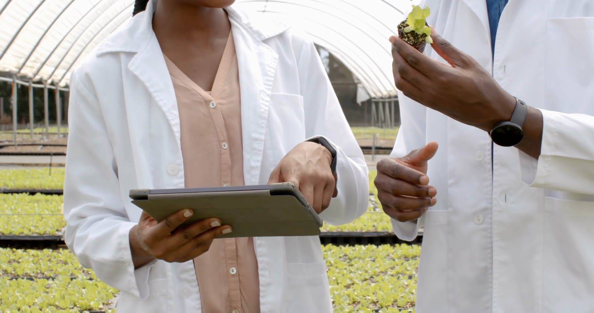 Using Tablet Researchers Examining Plant Stock Footage SBV-352132472 ...